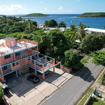 Esperanza Inn Guesthouse (Adults Only) Vieques Kültér fotó