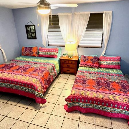 Esperanza Inn Guesthouse (Adults Only) Vieques Szoba fotó