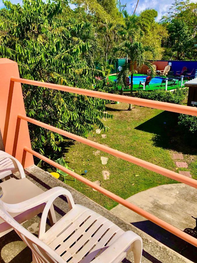 Esperanza Inn Guesthouse (Adults Only) Vieques Kültér fotó