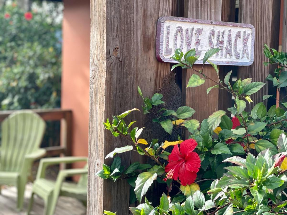 Esperanza Inn Guesthouse (Adults Only) Vieques Kültér fotó