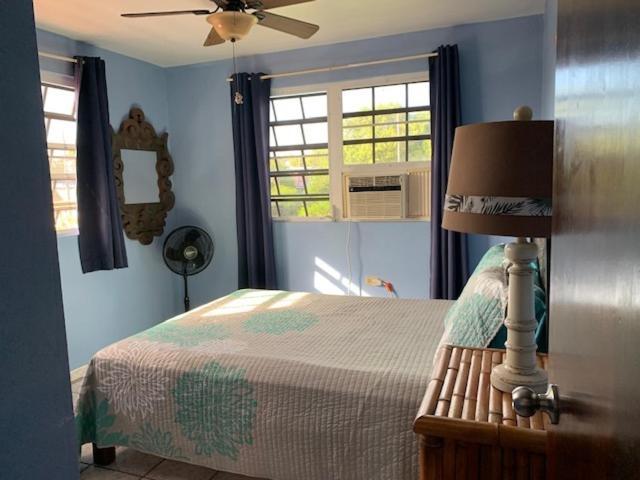 Esperanza Inn Guesthouse (Adults Only) Vieques Kültér fotó