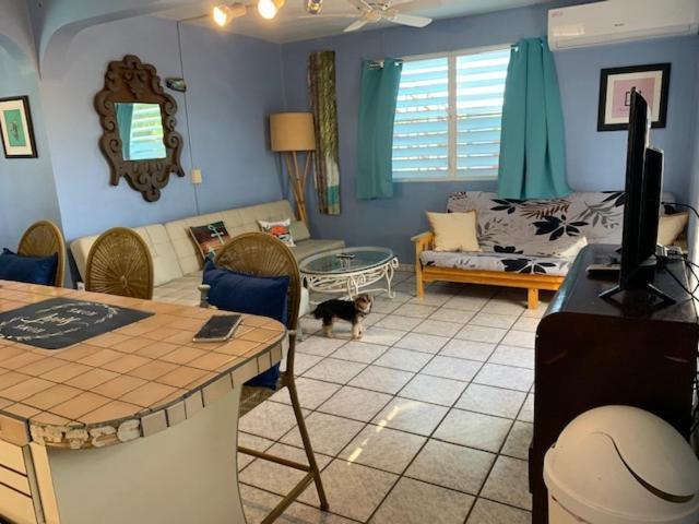 Esperanza Inn Guesthouse (Adults Only) Vieques Kültér fotó