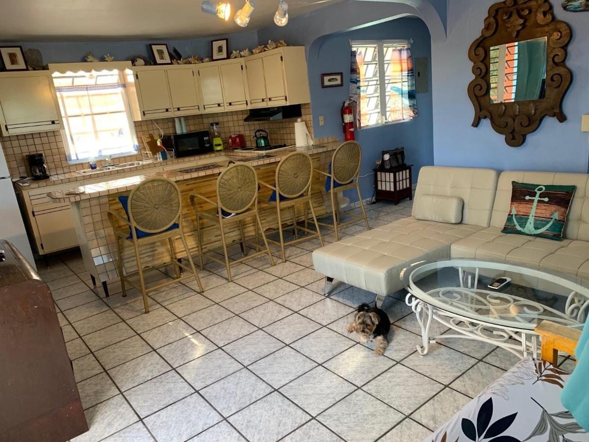 Esperanza Inn Guesthouse (Adults Only) Vieques Kültér fotó