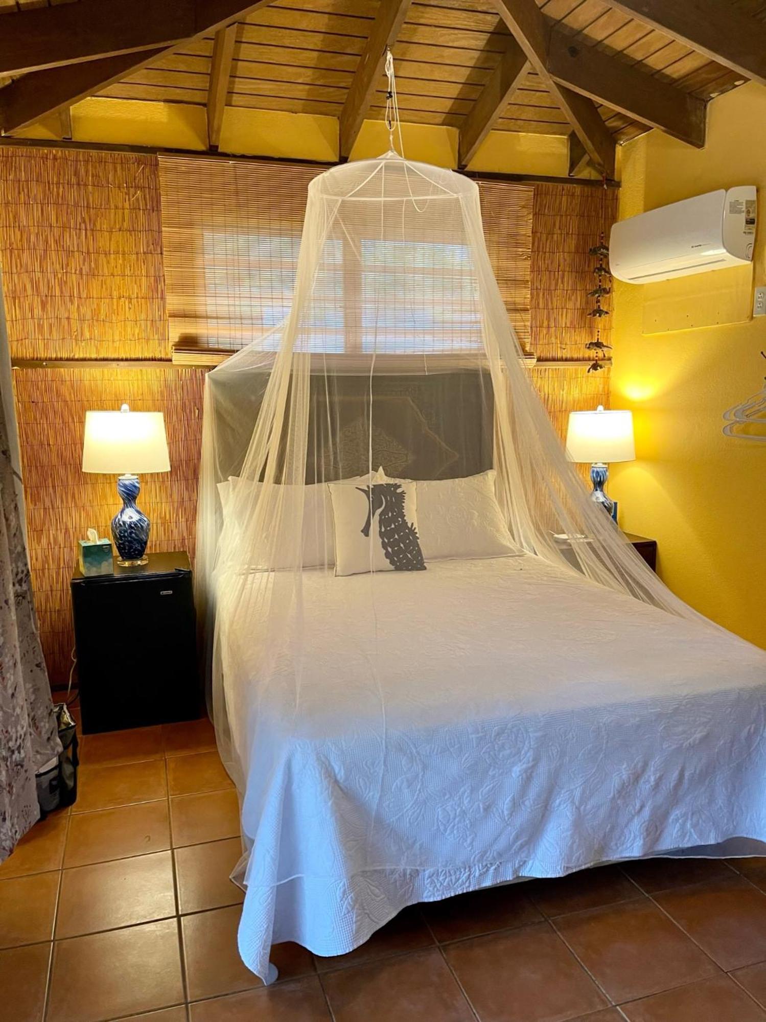 Esperanza Inn Guesthouse (Adults Only) Vieques Szoba fotó