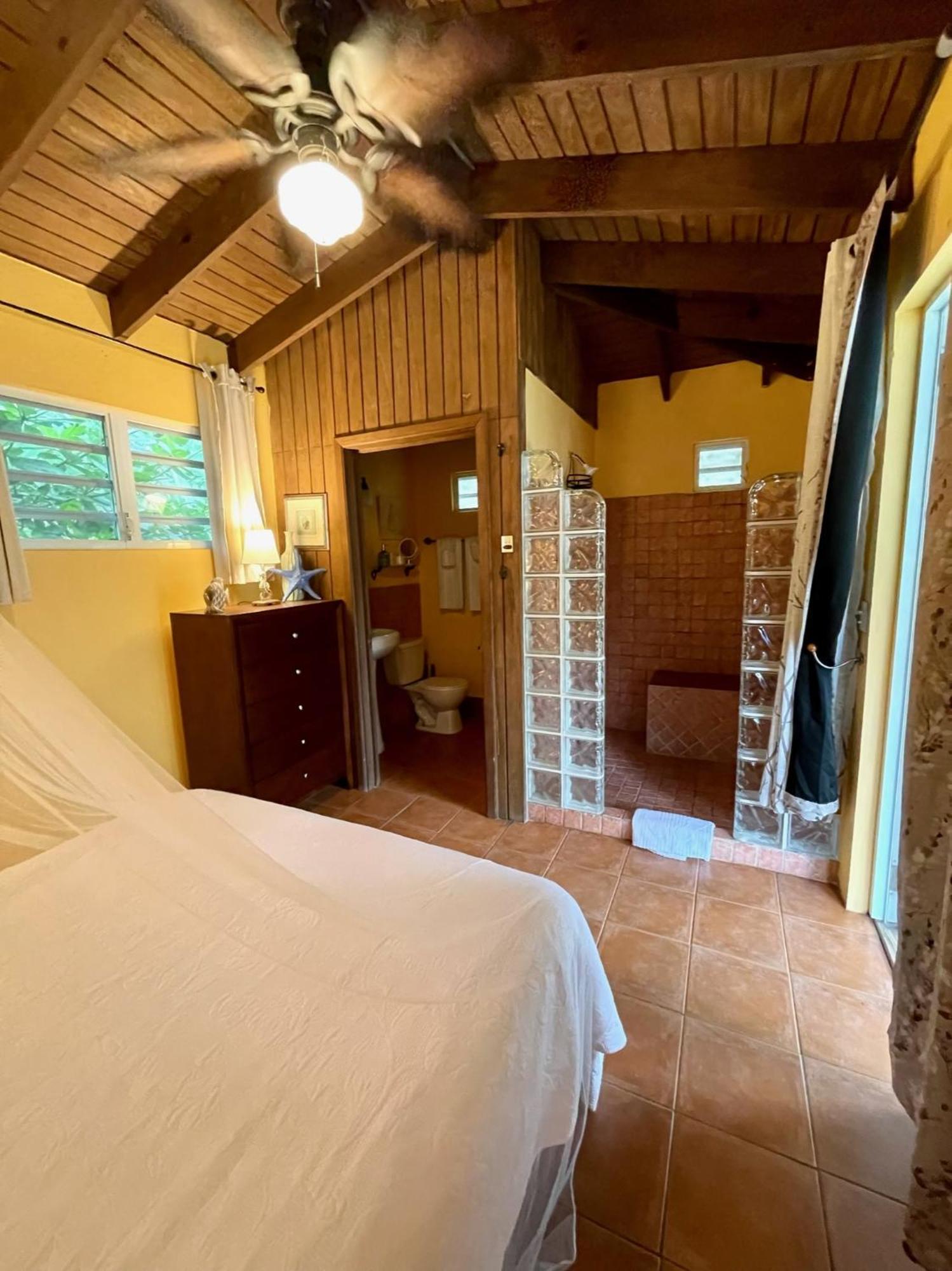Esperanza Inn Guesthouse (Adults Only) Vieques Szoba fotó
