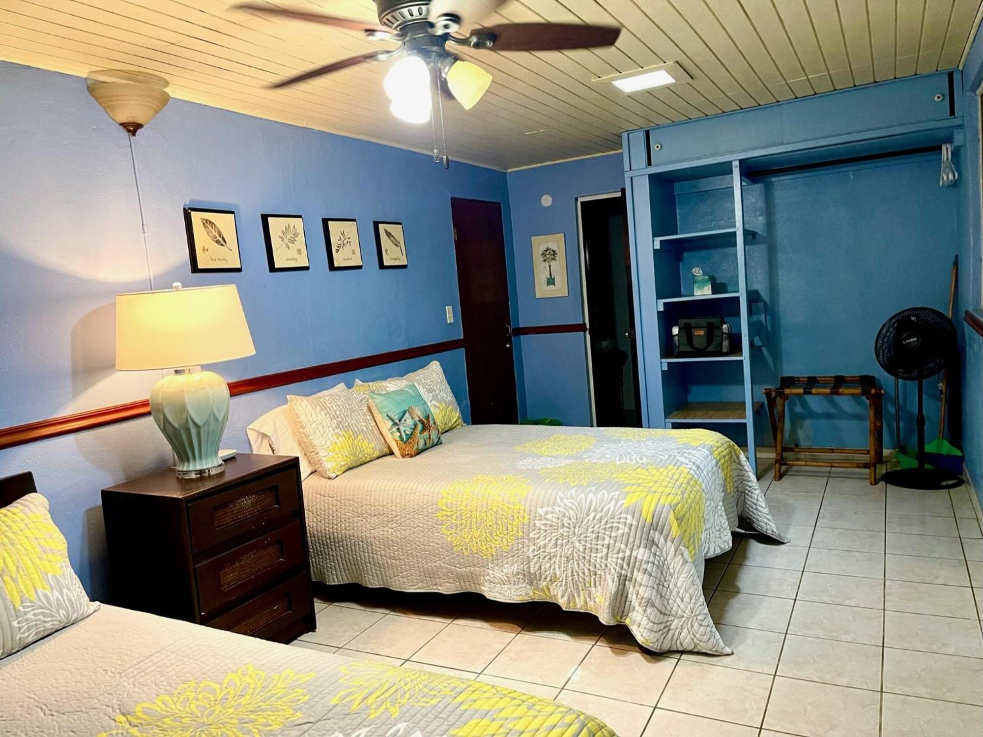 Esperanza Inn Guesthouse (Adults Only) Vieques Szoba fotó
