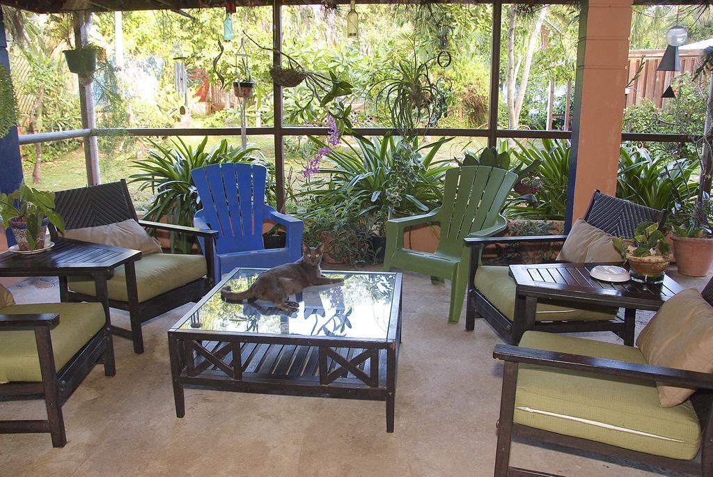 Esperanza Inn Guesthouse (Adults Only) Vieques Kültér fotó