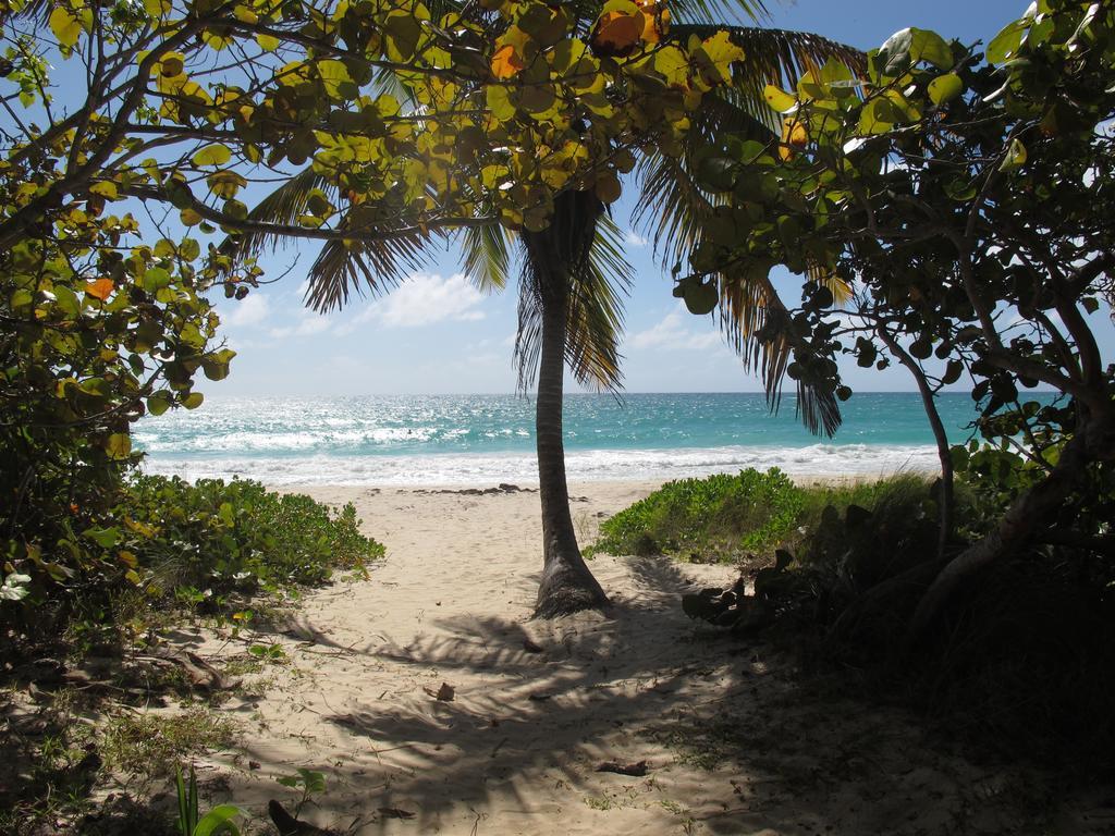 Esperanza Inn Guesthouse (Adults Only) Vieques Kültér fotó