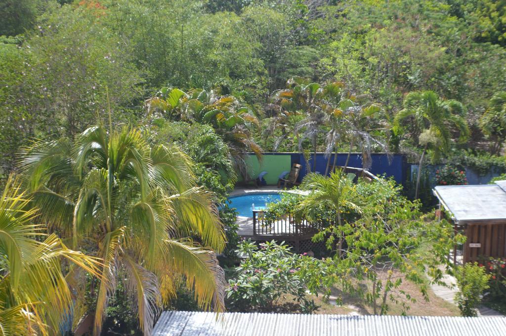 Esperanza Inn Guesthouse (Adults Only) Vieques Kültér fotó