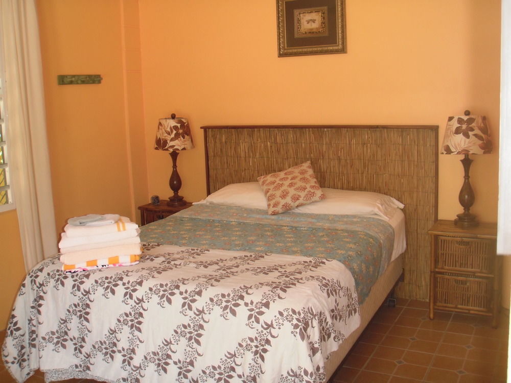 Esperanza Inn Guesthouse (Adults Only) Vieques Kültér fotó