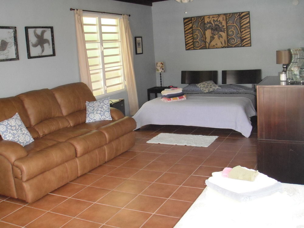 Esperanza Inn Guesthouse (Adults Only) Vieques Kültér fotó