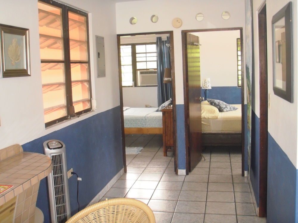 Esperanza Inn Guesthouse (Adults Only) Vieques Kültér fotó